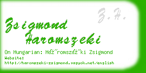 zsigmond haromszeki business card